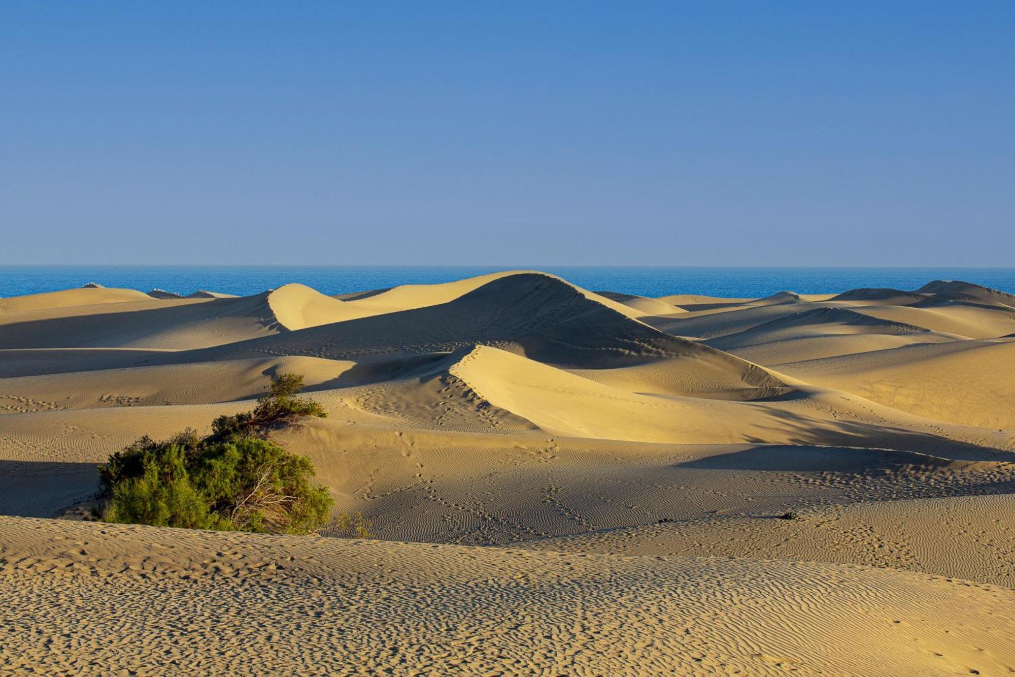 Nice 2 Bedroom Close To The Beach In Maspalomas Playa del Ingles  Exterior photo